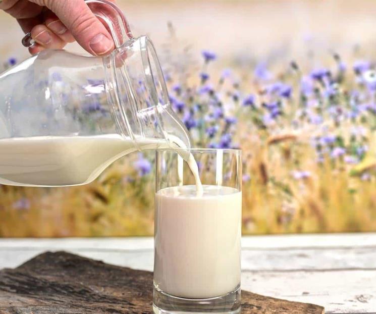 Esta es la leche recomendada para prevenir la diabetes Esta es la leche recomendada para prevenir la diabetes