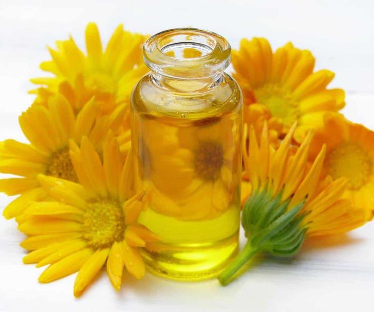 La caléndula se usa en cremas, pomadas y aceites contra cicatrices