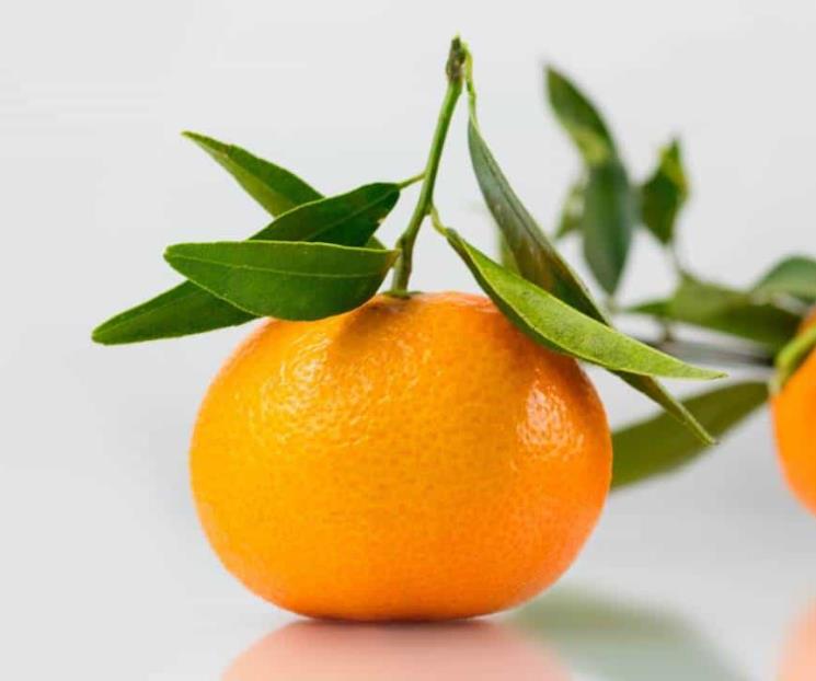 Los beneficios nutricionales de la mandarina Los beneficios nutricionales de la mandarina