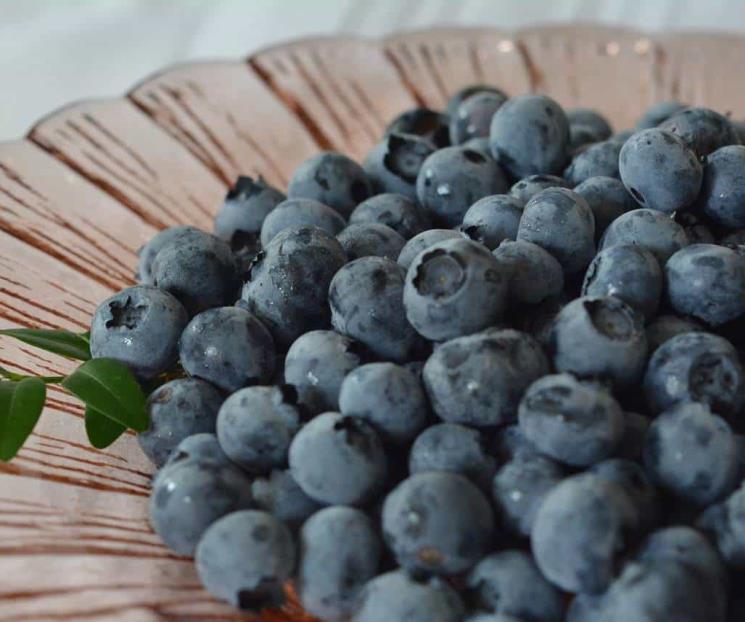 Comer esta fruta te ayuda a ser más inteligente, según Harvard Comer esta fruta te ayuda a ser más inteligente, según Harvard