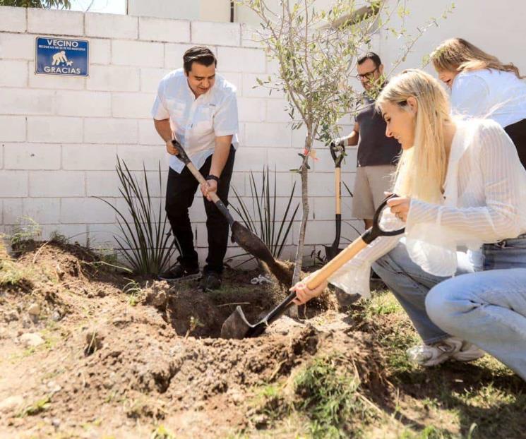 Siembran en SC 5 mil árboles para generar pulmones ecológicos Siembran en SC 5 mil árboles para generar pulmones ecológicos