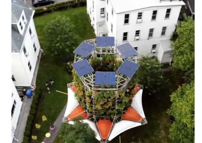 El refugio climático que inventó Harvard para lugares sin árboles El refugio climático que inventó Harvard para lugares sin árboles