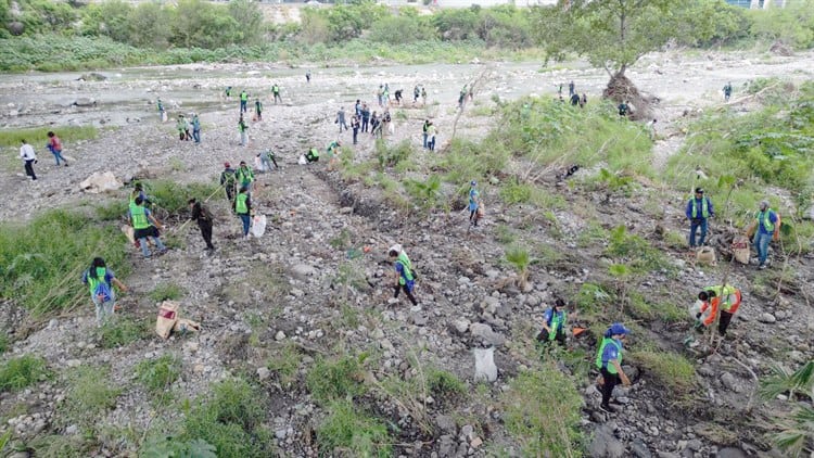 imagen-cuerpo imagen-cuerpo