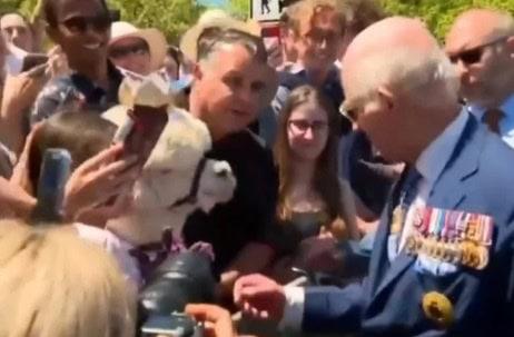 Rey Carlos III vive curioso momento con una alpaca en Australia