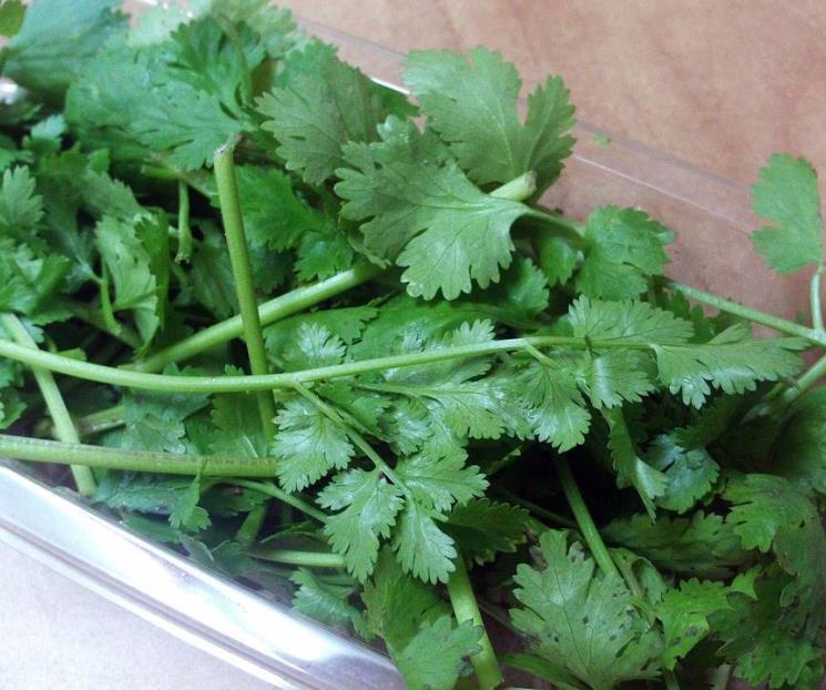 La hierba aromática que protege la piel y baja la presión arterial La hierba aromática que protege la piel y baja la presión arterial