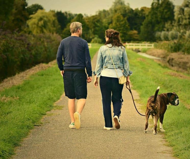 ¿Cuáles son y cómo estimular las 4 hormonas de la felicidad? ¿Cuáles son y cómo estimular las 4 hormonas de la felicidad?