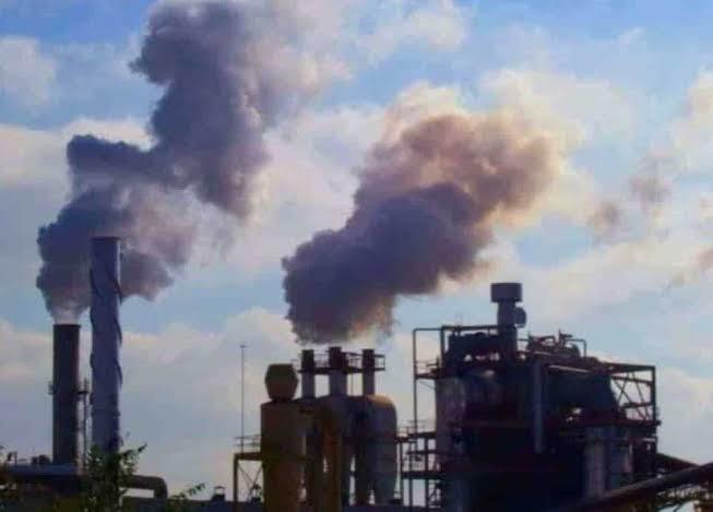 Realiza IP fuerte inversión en acciones sustentables Realiza IP fuerte inversión en acciones sustentables