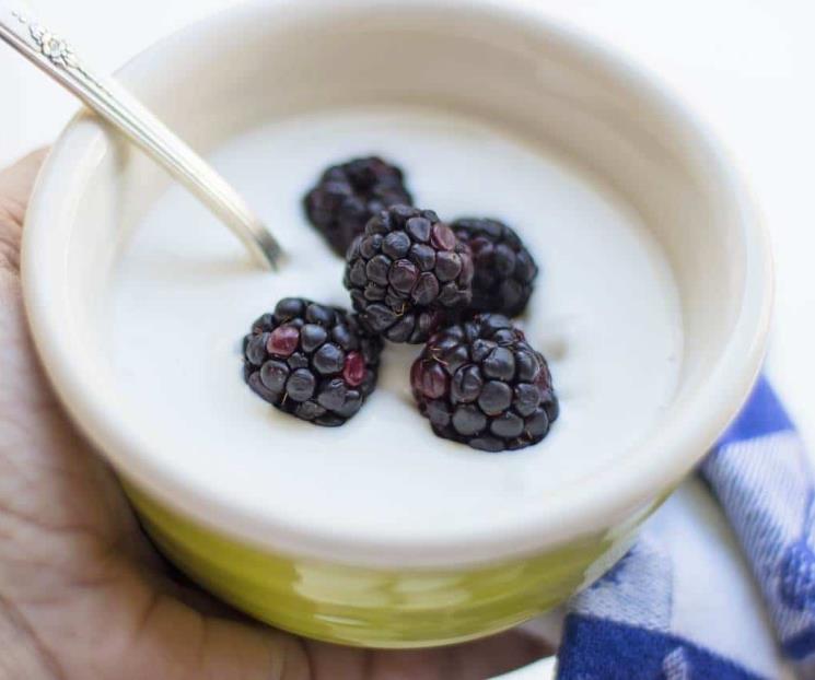 El yogur alivia trastornos intestinales El yogur alivia trastornos intestinales