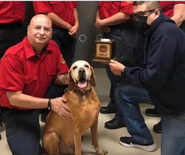 Fallece ‘Titán’, el perro rescatista del sismo de 2017