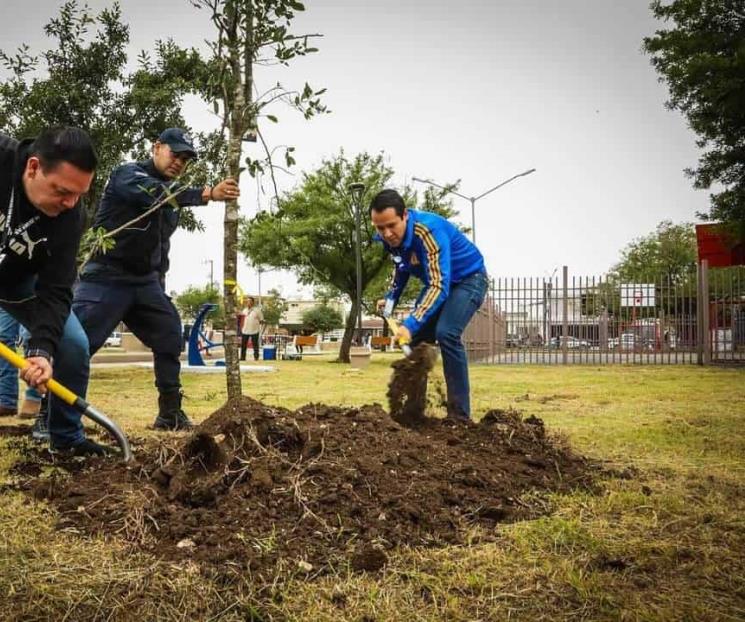 Arranca programa de reforestación ‘Arboleando San Nicolás’