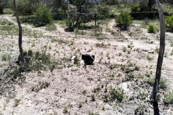 Encuentran cuerpo flotando en estanque