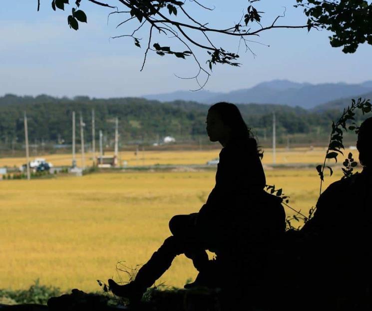 Hábitos que están dañando tu cerebro Hábitos que están dañando tu cerebro