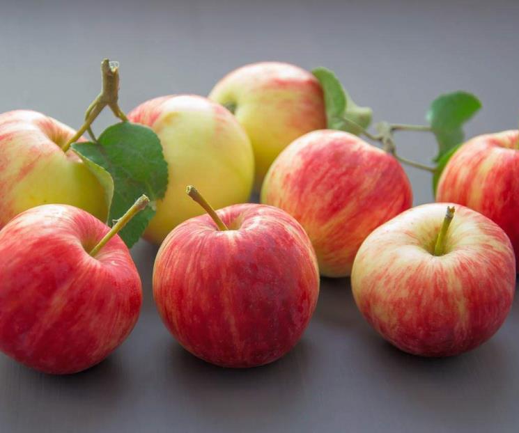 La fruta que combate el daño en el páncreas; sus beneficios La fruta que combate el daño en el páncreas; sus beneficios