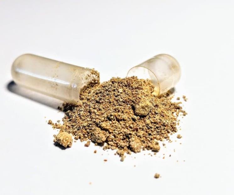 La hoja medicinal que es alternativa natural para mejorar el sueño