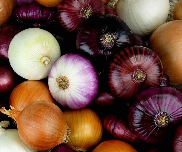 Trucos para mantener las propiedades nutritivas de la cebolla