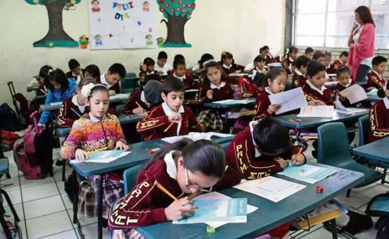 Resalta ONG avances en el PPEF 2025 pide más recursos