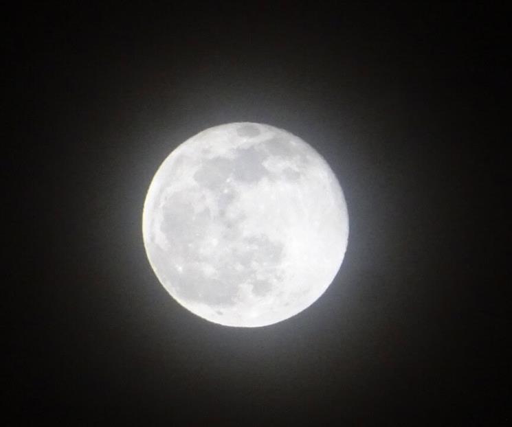 Luna Fría 2024
