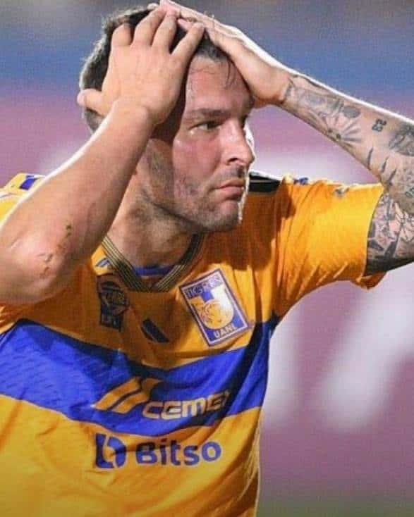 Aparecen Rayados y Tigres en el top 10 de diciembre en Concacaf Aparecen Rayados y Tigres en el top 10 de diciembre en Concacaf