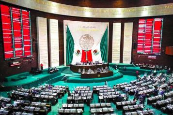 Proponen sancionar el maltrato y promover el respeto a los animales