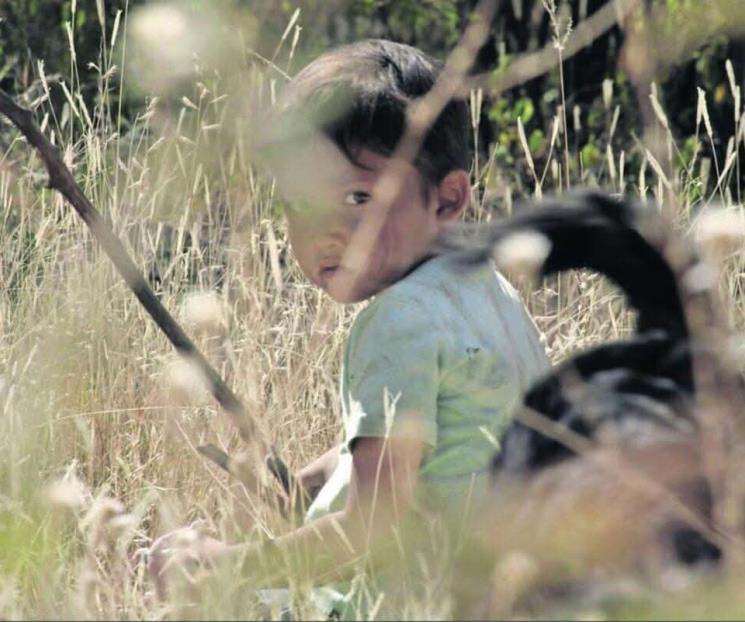 Proyectan en la cineteca “Sujo, hijo de sicario”