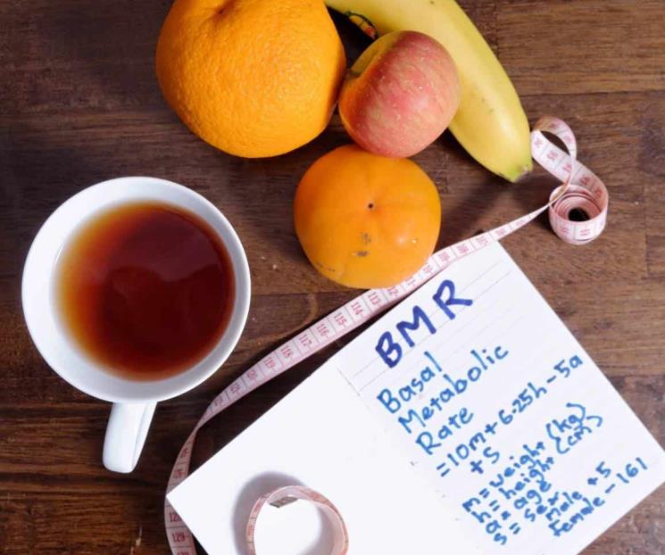 ¿Qué es el metabolismo?; conoce cómo funciona