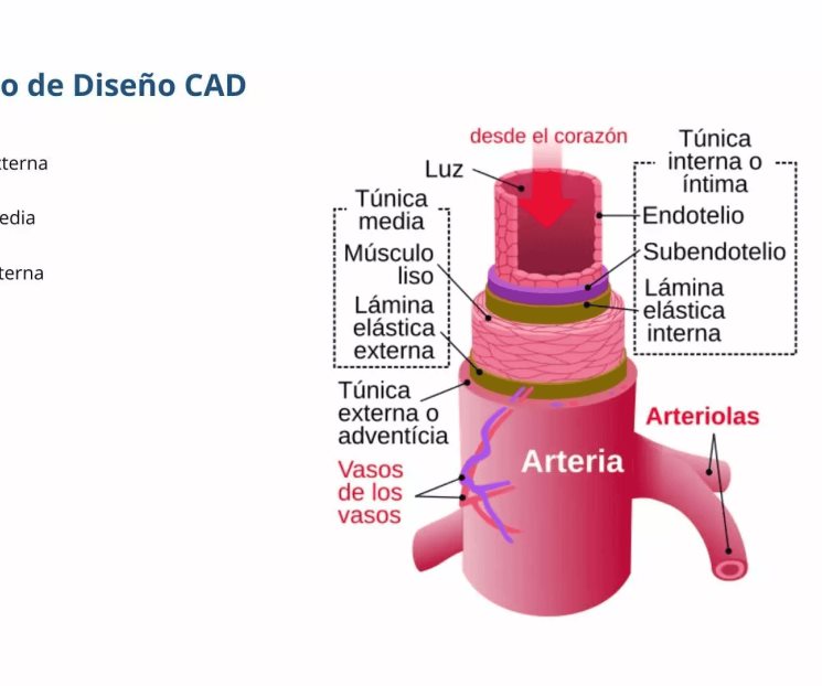 ¡Talento queretano! EXATEC trabaja con bioimpresión en Harvard ¡Talento queretano! EXATEC trabaja con bioimpresión en Harvard