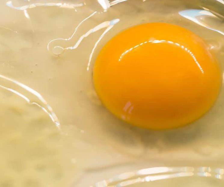 Qué beneficios obtendrá tu cuerpo si comes una clara de huevo Qué beneficios obtendrá tu cuerpo si comes una clara de huevo
