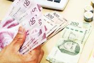 Refuerzan estados ingresos con impuestos verdes