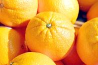 Precio de la naranja sube 25.7%