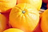 Precio de la naranja sube 25.7%