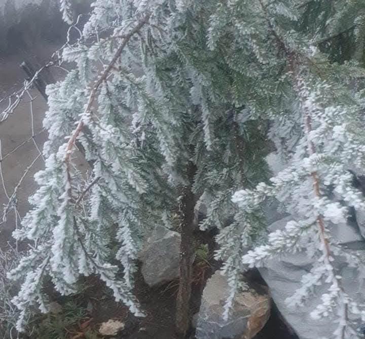 Cierran carretera a Ciénega de González por presencia de hielo