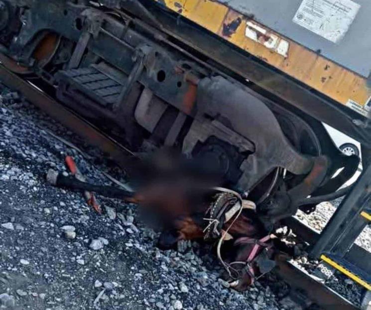 Embiste tren a carretón; caballo muere