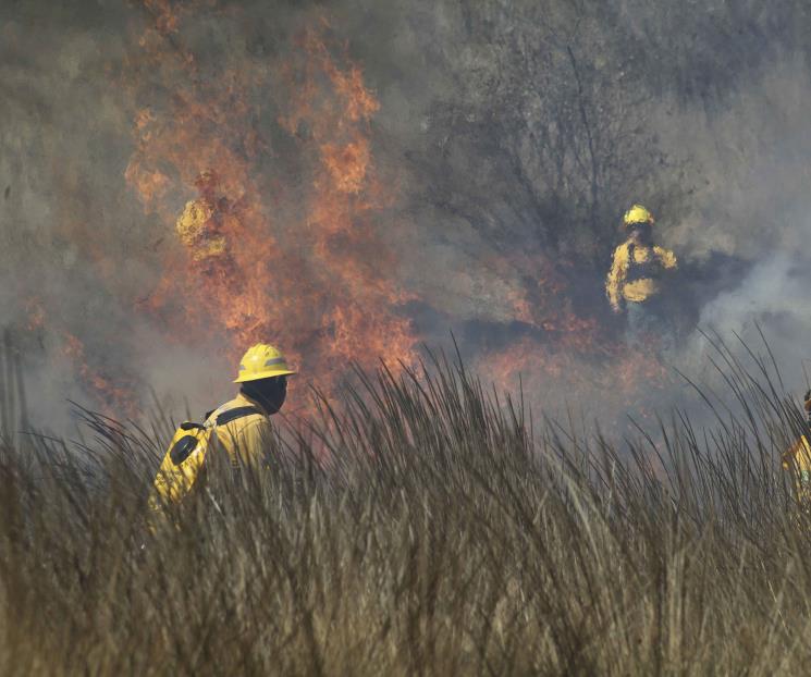 Aumentan 5% los incendios forestales en México