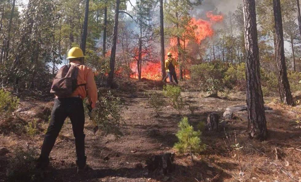 Incrementan un 5% los incendios forestales en México