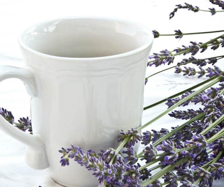 La mejor hierba para combatir la ansiedad según la ciencia