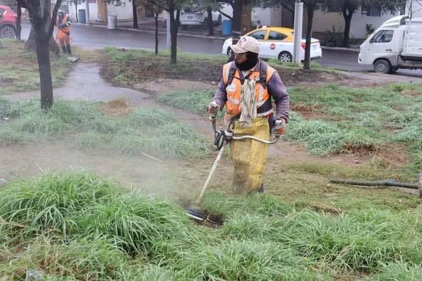 Recuperan espacios para convertirlos en parques