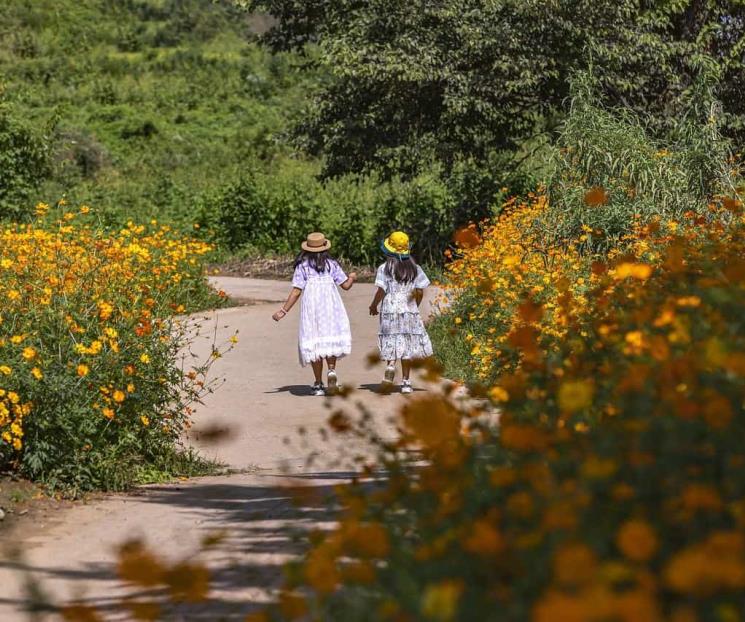 El tiempo que deben pasar los niños al aire libre para evitar miopía