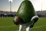 Exportará México 110 mil toneladas de aguacate para el Super Bowl