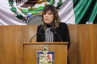 Piden información sobre el destino de recursos del impuesto verde Piden información sobre el destino de recursos del impuesto verde