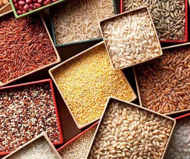 Importación de granos alcanza récord histórico