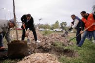 Realizan jornada de reforestación al Parque El Quisco, en Monterrey Realizan jornada de reforestación al Parque El Quisco, en Monterrey