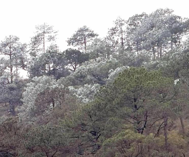 Se pinta de blanco el municipio de Santiago