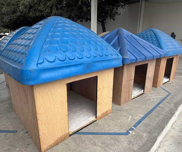 Instalan en SP refugios temporales para perros