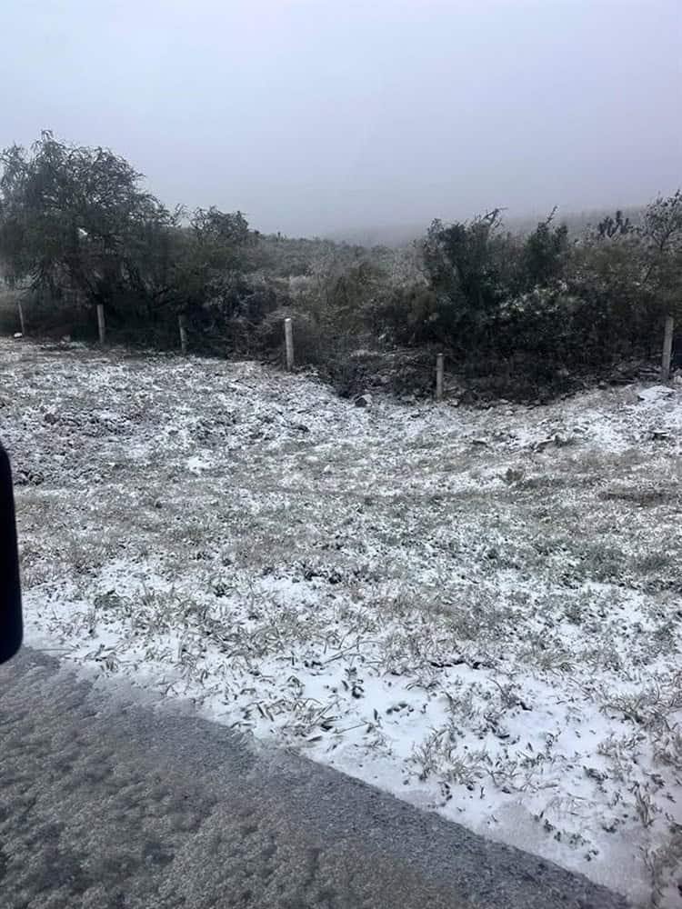 imagen-cuerpo imagen-cuerpo