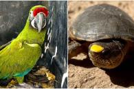 Los Umbrales del diseño y arte hecho en México, en Siempre Sí