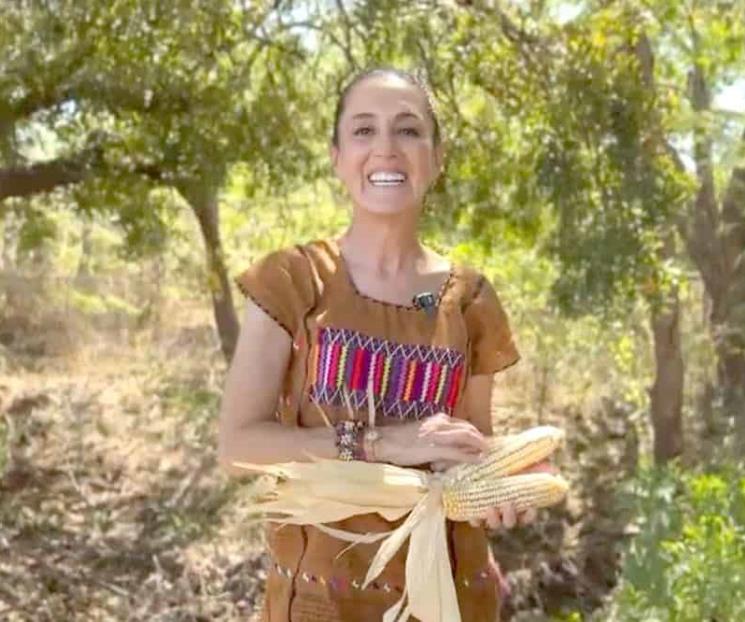 Defiende Sheinbaum el maíz nativo