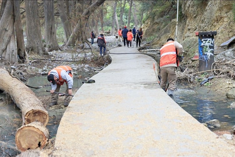 imagen-cuerpo imagen-cuerpo