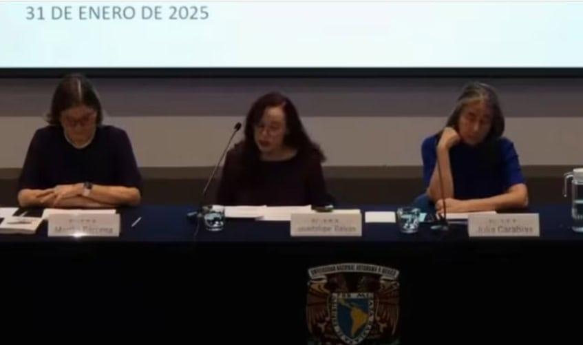 Imposición de aranceles es violatorio al T-MEC: Martha Bárcena
