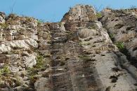 Charlarán sobre fósiles mexicanos en el MHM Charlarán sobre fósiles mexicanos en el MHM