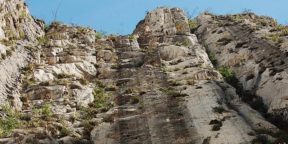 Charlarán sobre fósiles mexicanos en el MHM